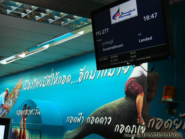 SDC11496.jpg